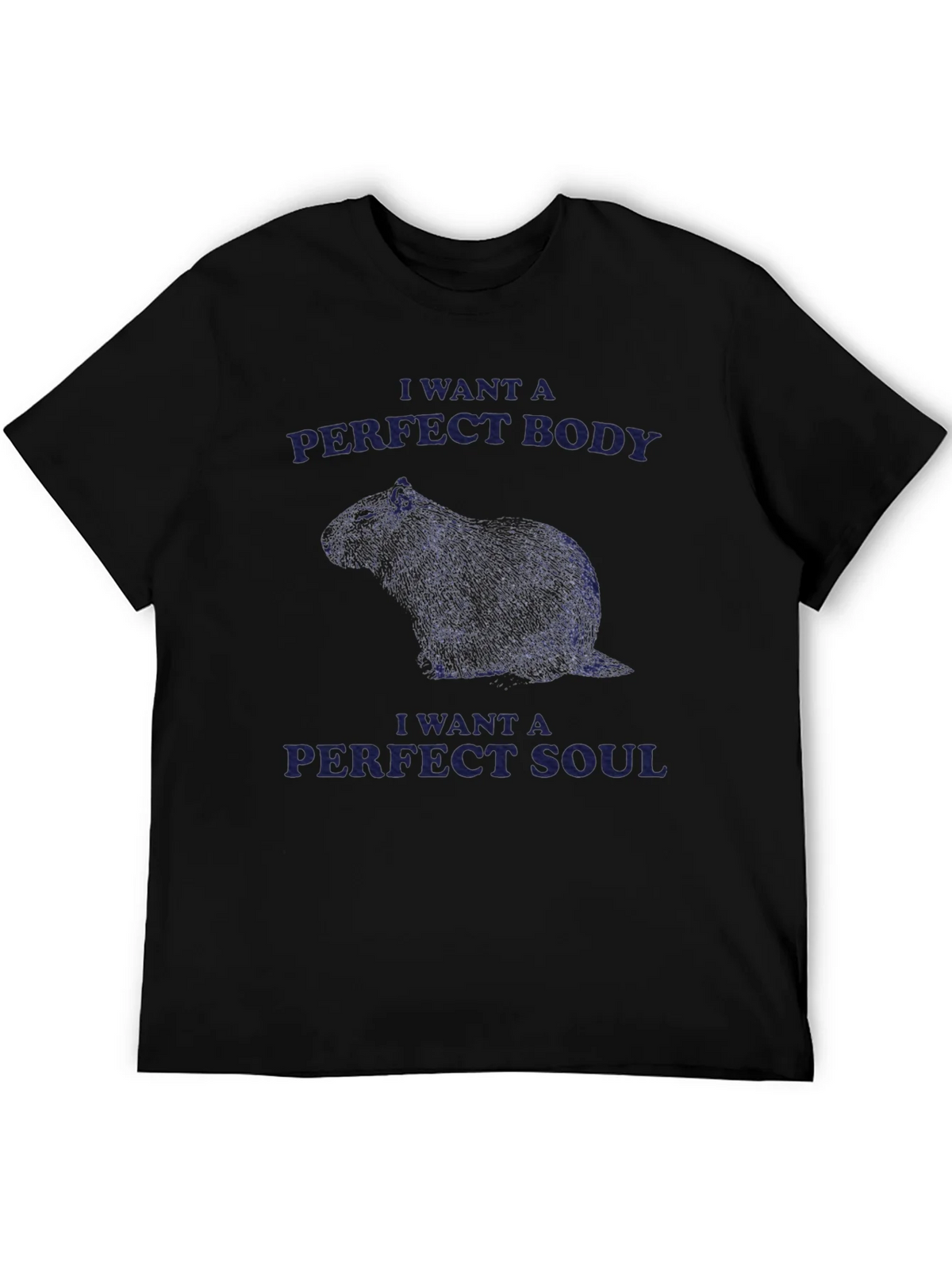 Capybara Perfect Body Soul Graphic Tee product image 5