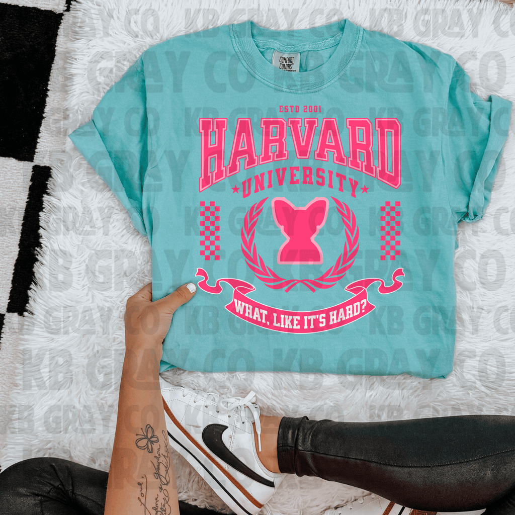 Harvard university