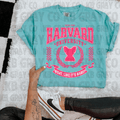 Harvard university