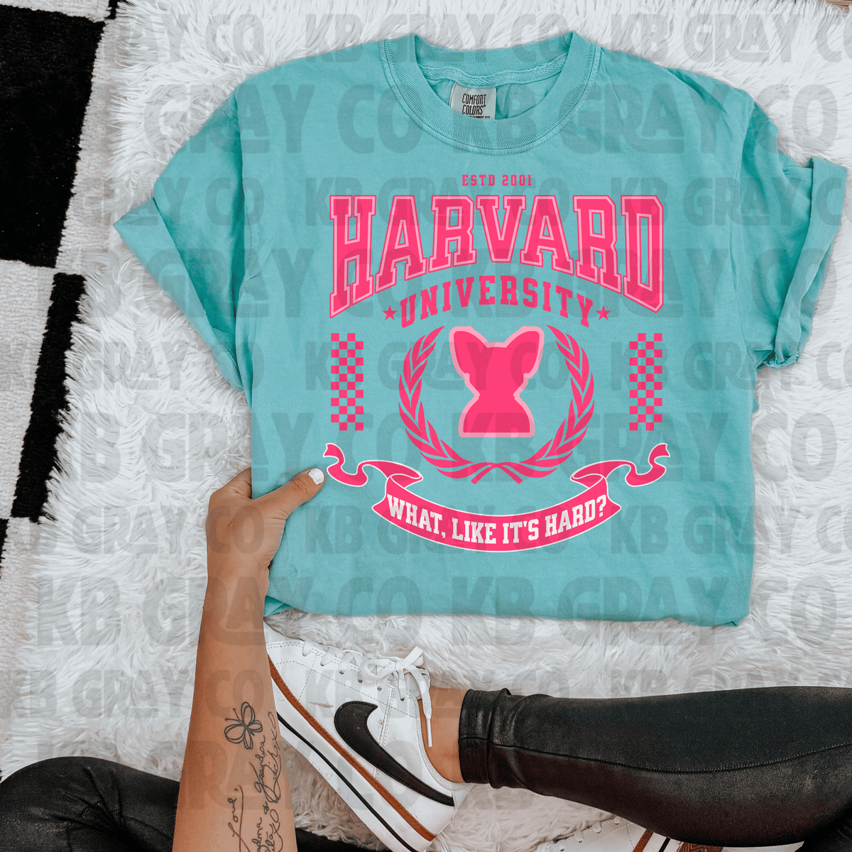 Harvard university