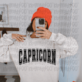 Zodiac Signs - Capricorn