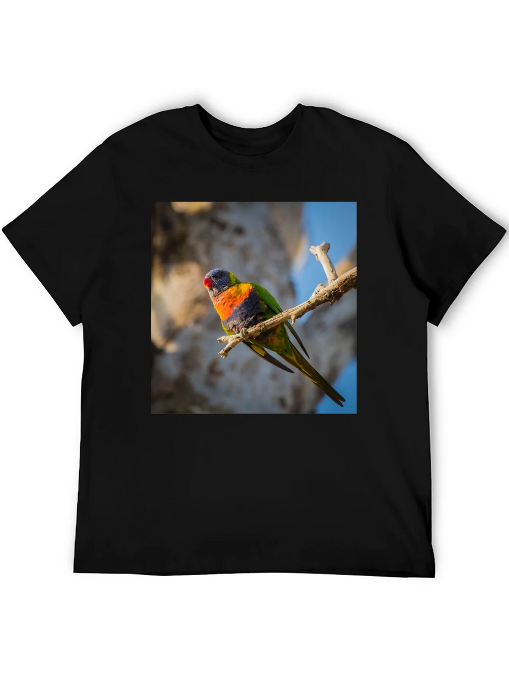 Rainbow Lorikeet T-Shirt - Nature Inspired Apparel product image 5