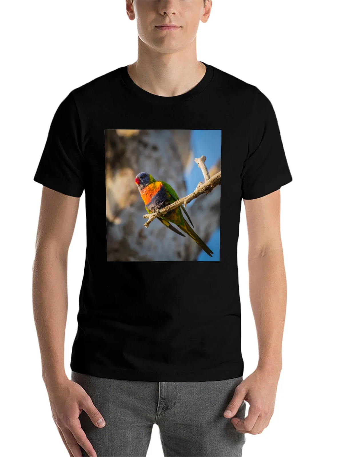 Rainbow Lorikeet T-Shirt - Nature Inspired Apparel product image 4
