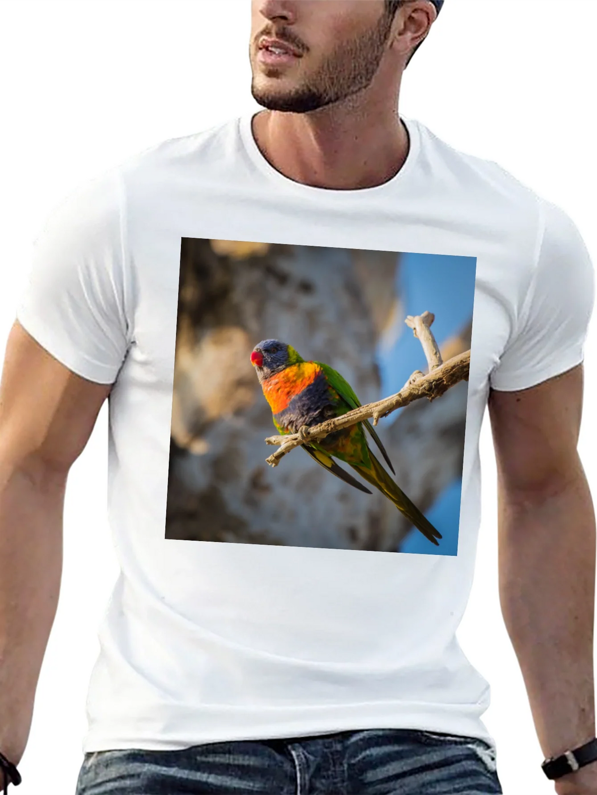 Rainbow Lorikeet T-Shirt - Nature Inspired Apparel product image 12