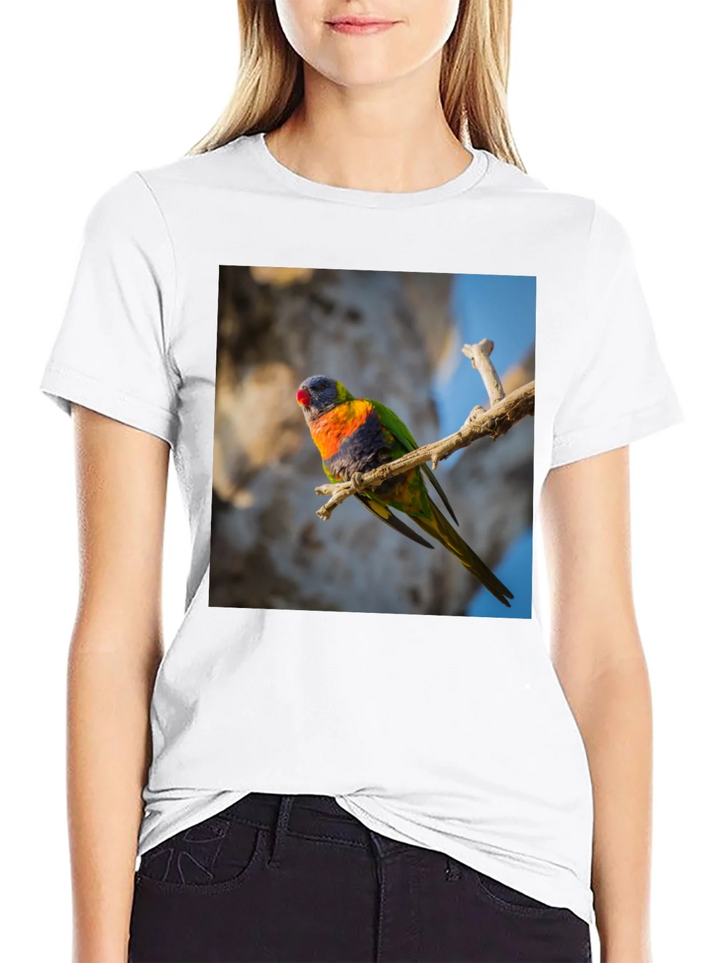 Rainbow Lorikeet T-Shirt - Nature Inspired Apparel product image 8