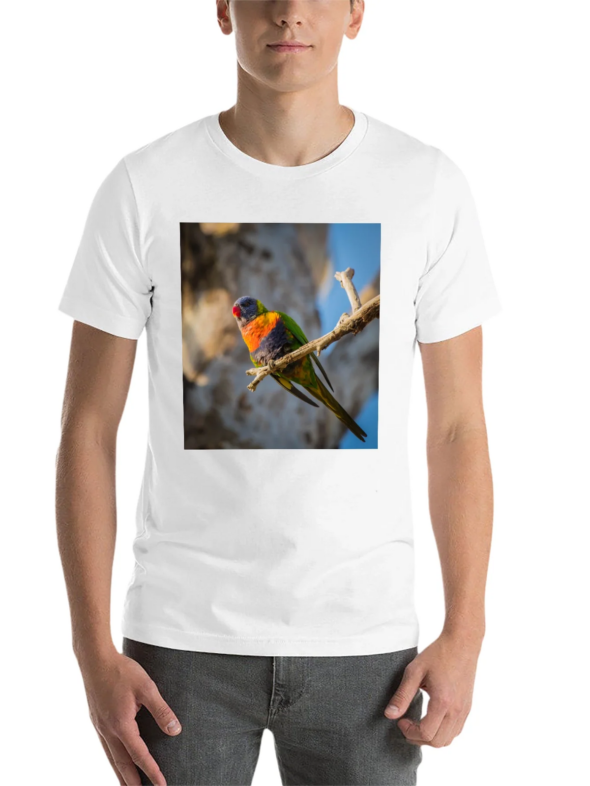Rainbow Lorikeet T-Shirt - Nature Inspired Apparel product image 10