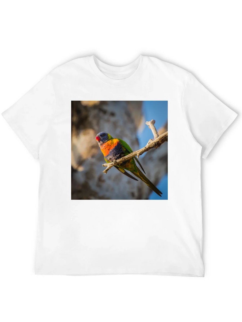 Rainbow Lorikeet T-Shirt - Nature Inspired Apparel product image 11