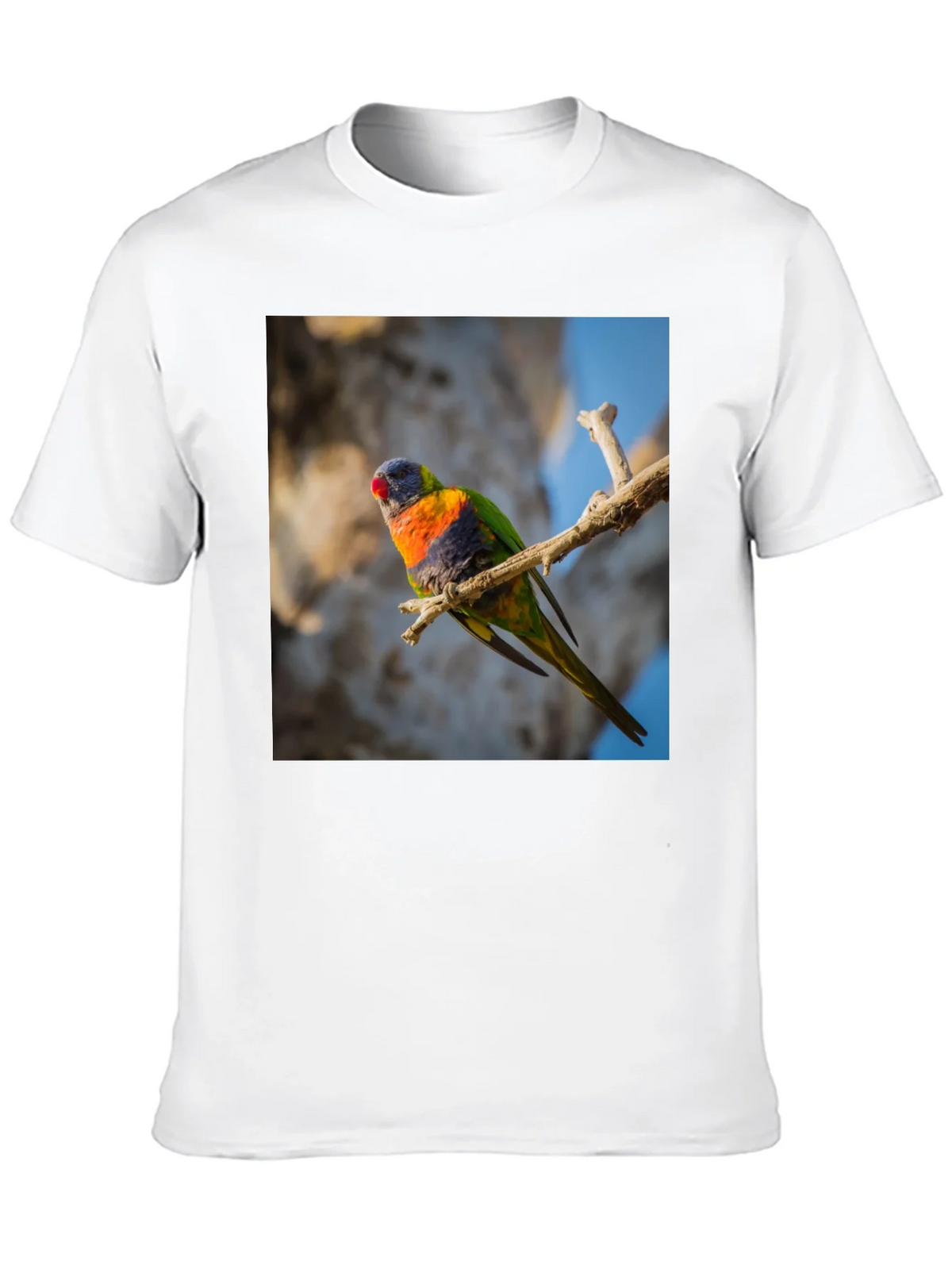Rainbow Lorikeet T-Shirt - Nature Inspired Apparel product image 9