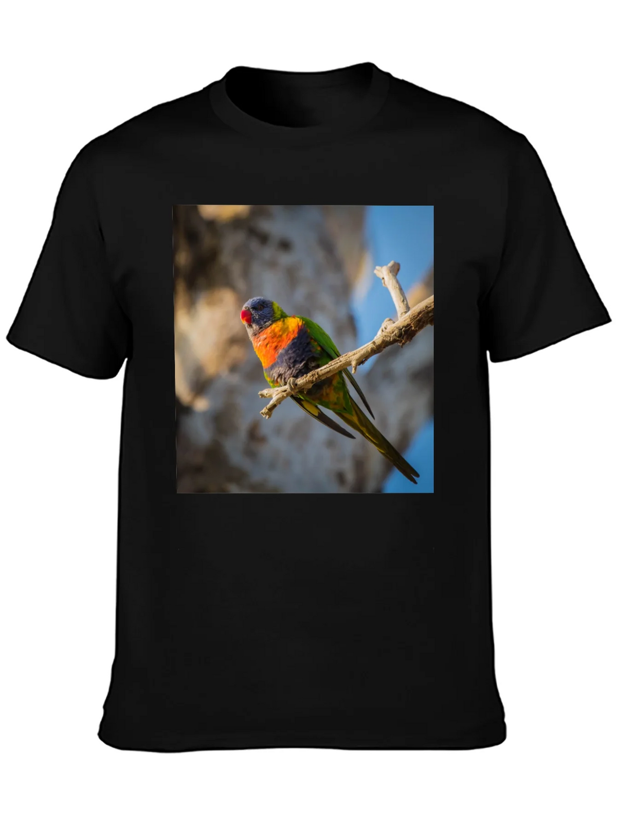Rainbow Lorikeet T-Shirt - Nature Inspired Apparel product image 3