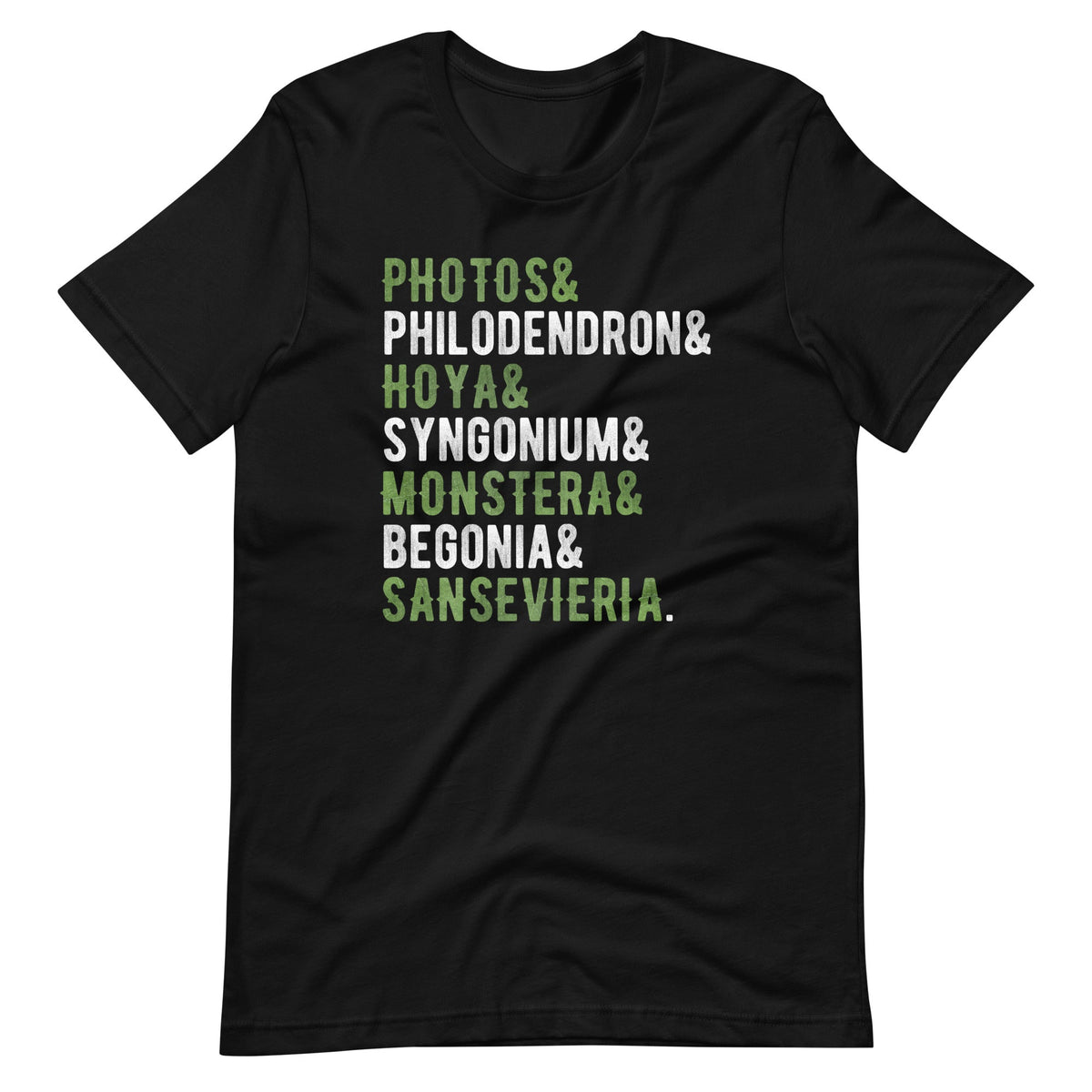Pothos Philodendron Hoya Syngonium Monstera Houseplant product image 2
