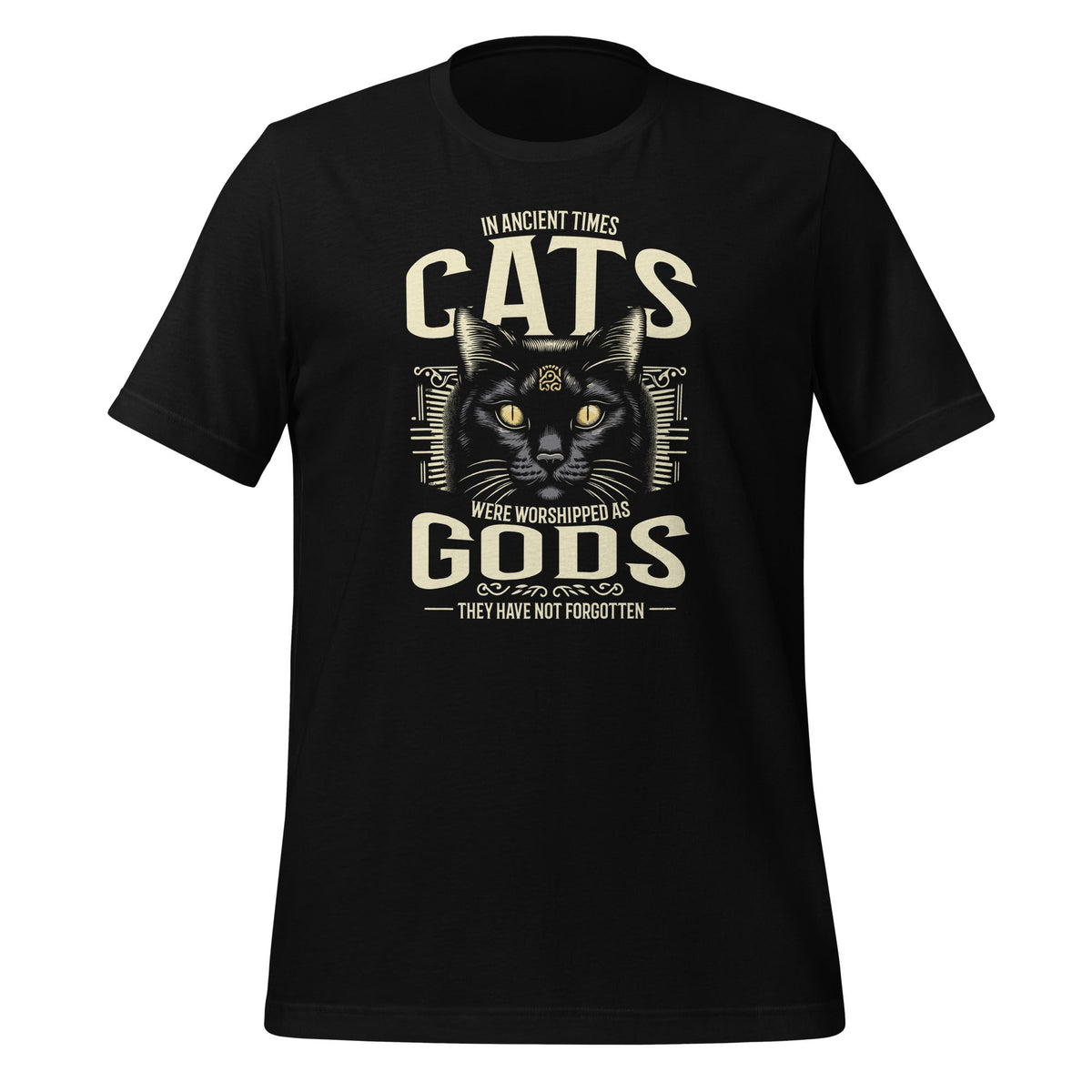 In Ancient Times Cats Were Worshipped As Gods Pet Lover product image 1