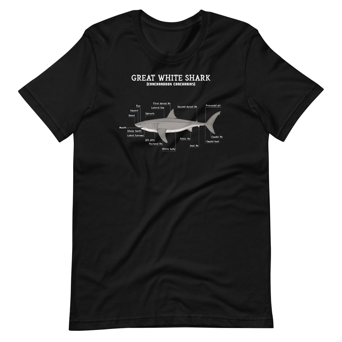 Great White Shark Anatomy Anatomical Biologist Unisex product image 1