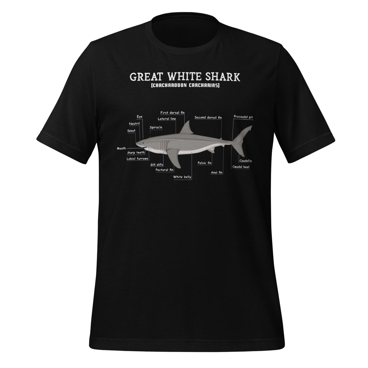 Great White Shark Anatomy Anatomical Biologist Unisex product image 2