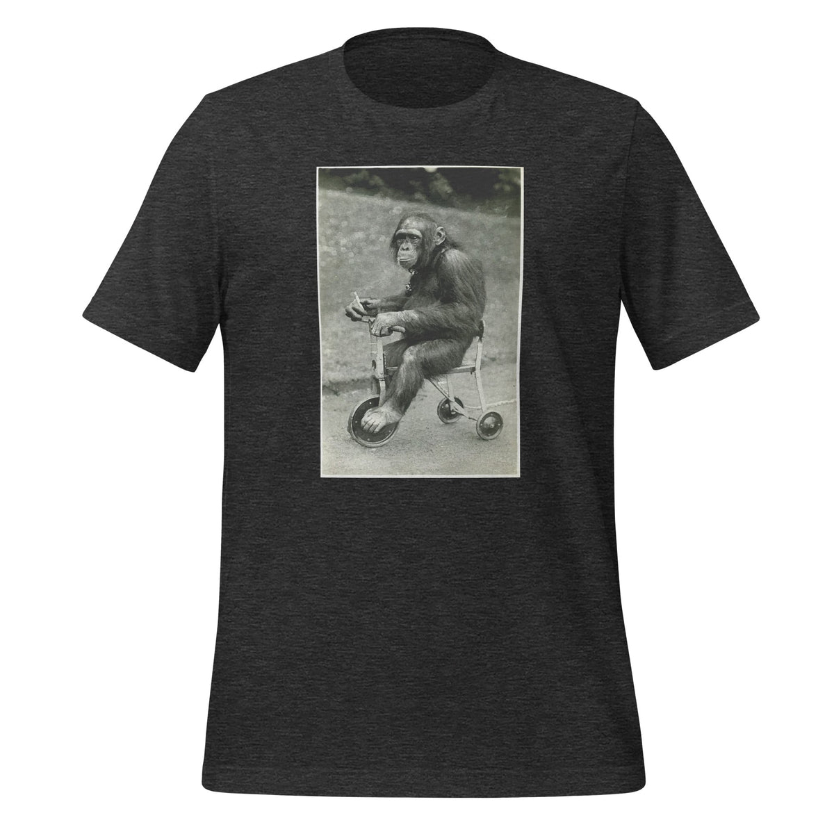 Vintage Chimpanzee Monkey Riding Tricycle Chimp Funny product image 4