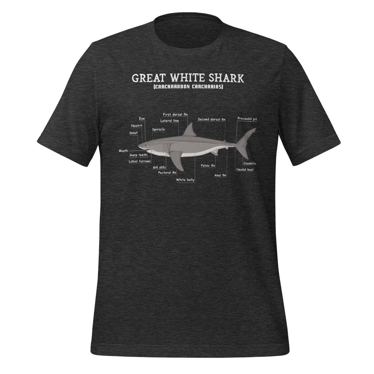 Great White Shark Anatomy Anatomical Biologist Unisex product image 5