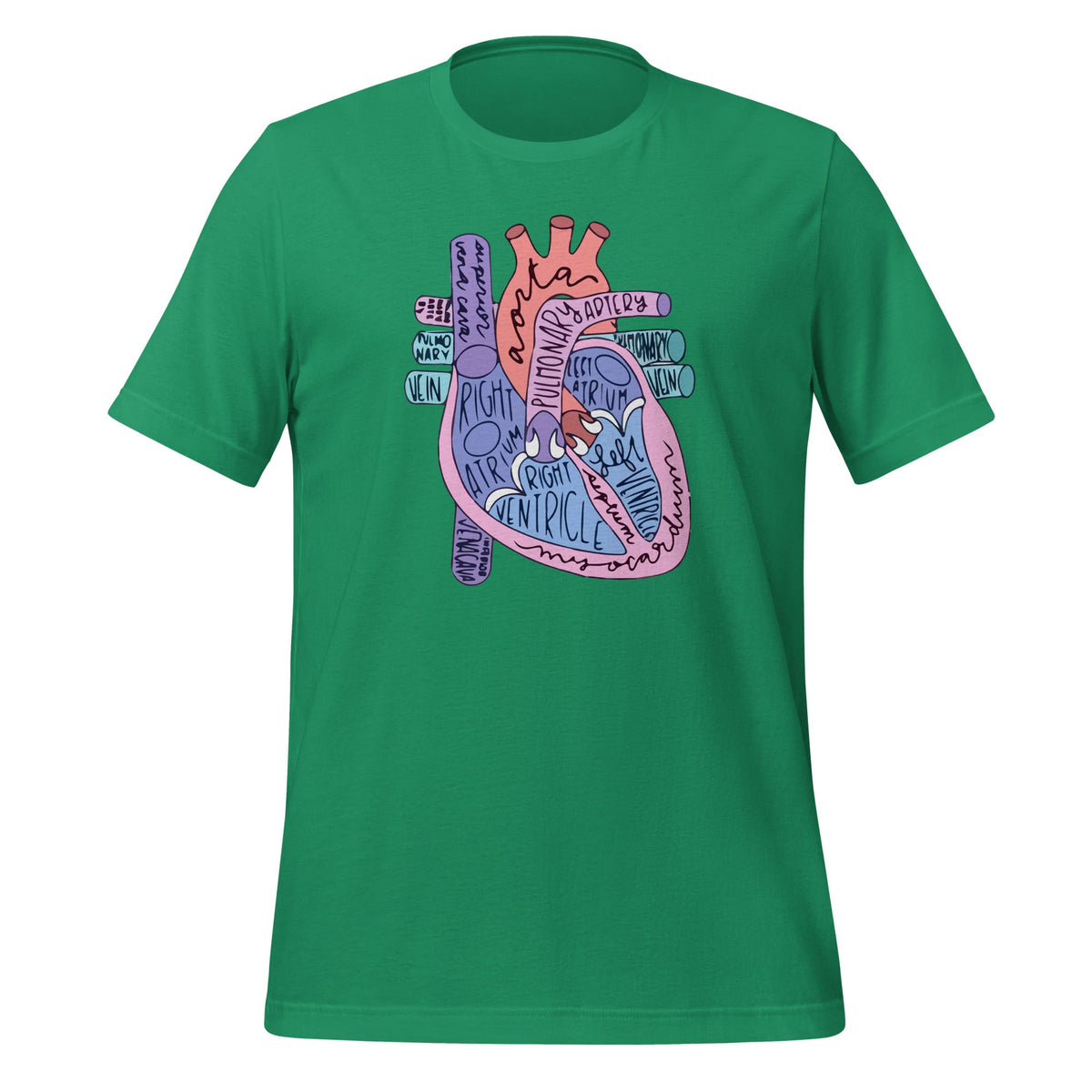 Heart Specialist Anatomy Doctor Medical Biology Organ product image 6