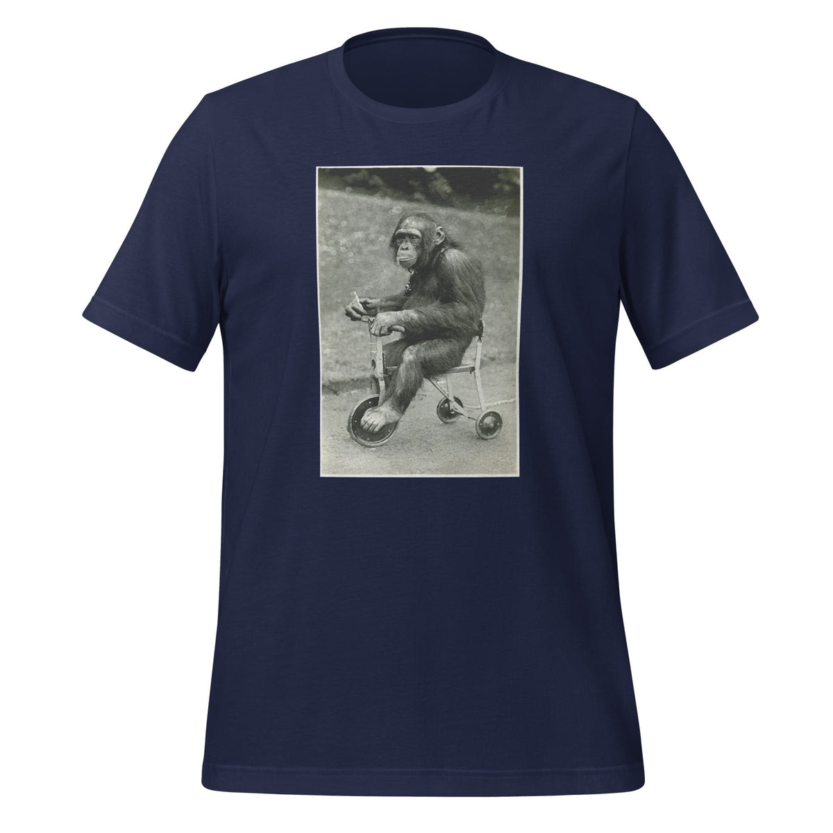 Vintage Chimpanzee Monkey Riding Tricycle Chimp Funny product image 2
