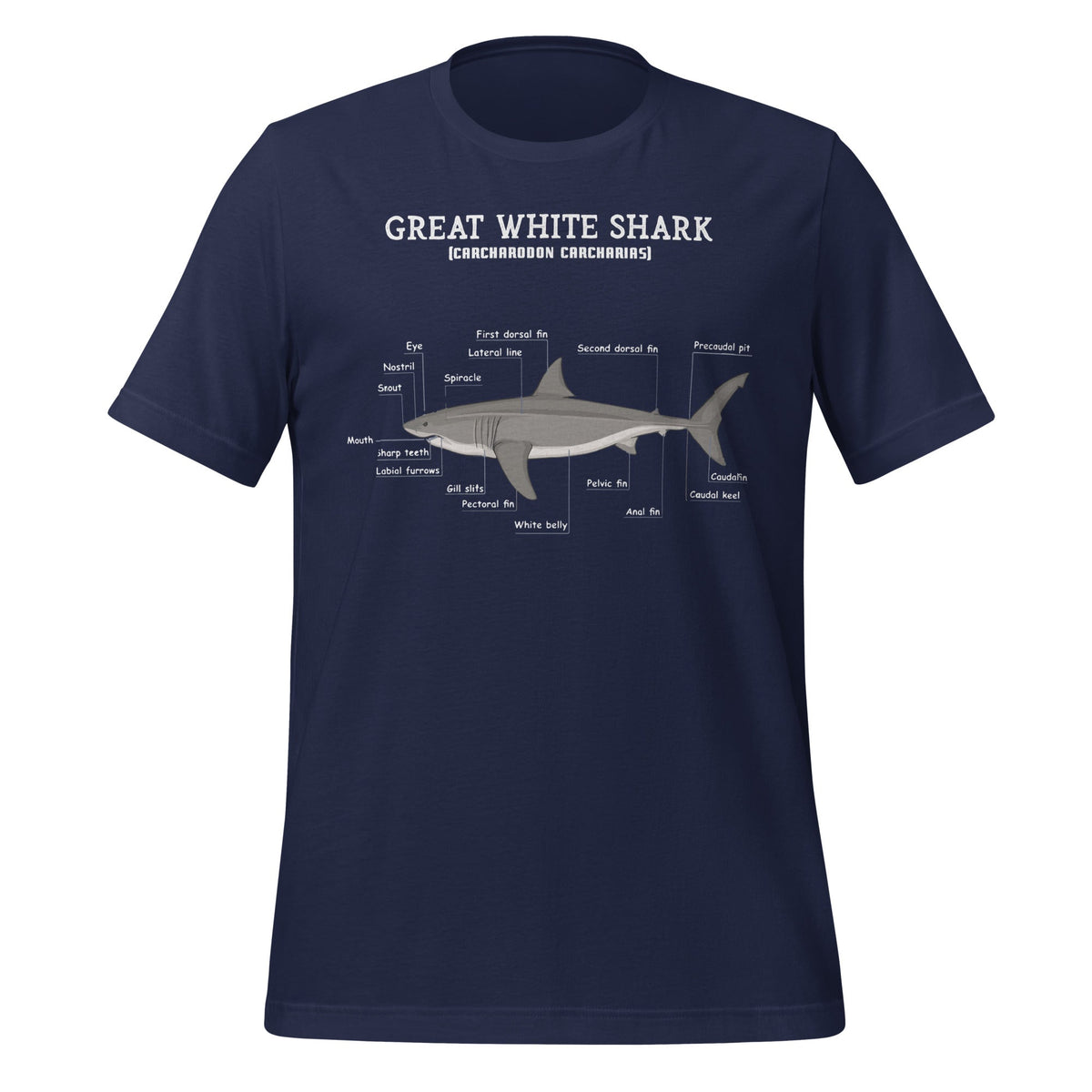 Great White Shark Anatomy Anatomical Biologist Unisex product image 3